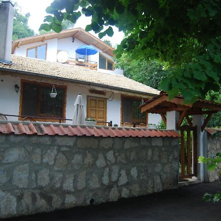 Rooms For Rent - Villa Desi Varna Extérieur photo